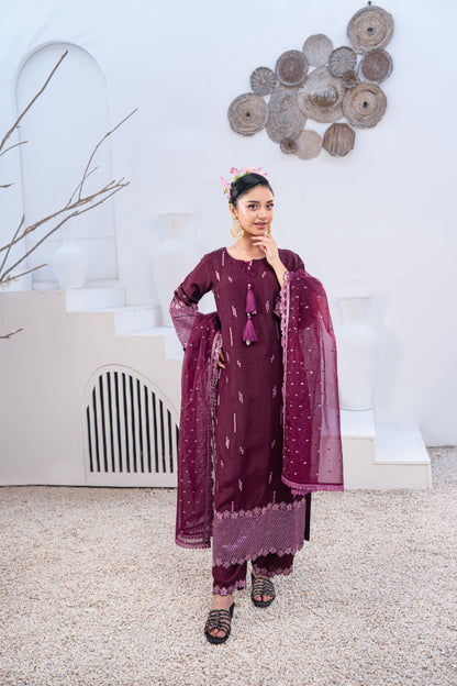 Nayab Studio 3 Piece Stitched Luxury Wear Suit - Amethyst