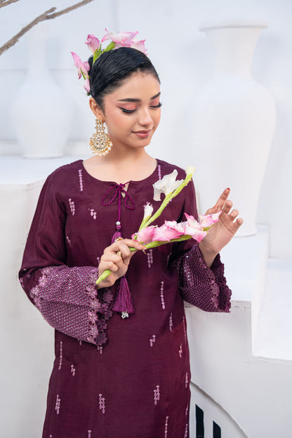 Nayab Studio 3 Piece Stitched Luxury Wear Suit - Amethyst