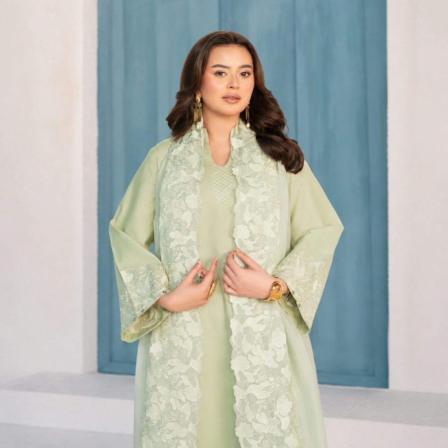 Divinely Crafted 3 piece Embroidered Stitched Suit